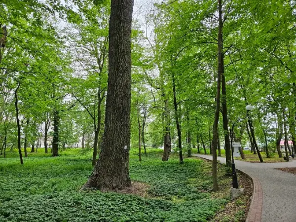 Гощанський парк